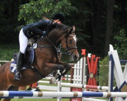 jumper Nante (German Riding Pony, 2003, from Nantano)