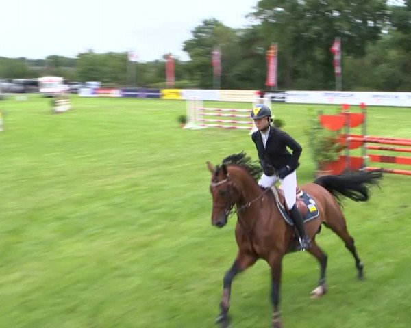 Reitturnier Holdorf 2015