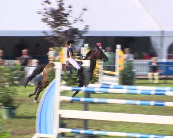 Reitturnier Holdorf 2015