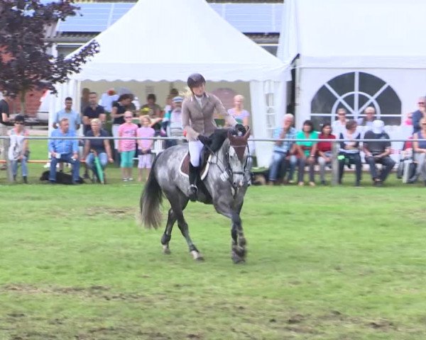 Reitturnier Holdorf 2015