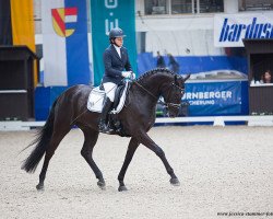 dressage horse Specter M (Hanoverian, 2015, from Scuderia)