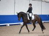 dressage horse Finest Faustino (Hanoverian, 2015, from Finest)