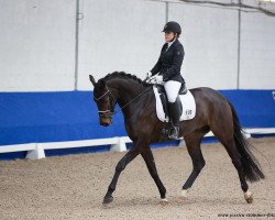 dressage horse Finest Faustino (Hanoverian, 2015, from Finest)