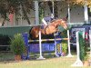 jumper Infinity 26 (Hanoverian, 2008, from Iberio)