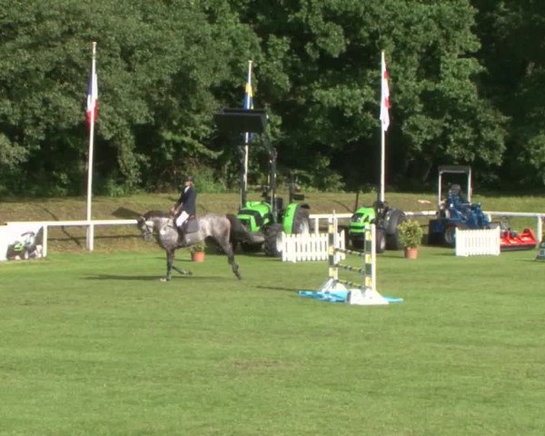 Schenefelder Sommerturnier 2015 - Horse & Classic