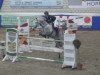 jumper Clintess 2 (Hanoverian, 2010, from Clinton I)