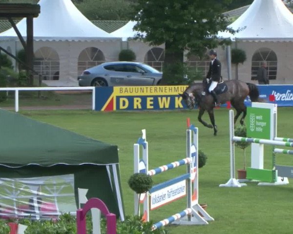 Schenefelder Sommerturnier 2015 - Horse & Classic