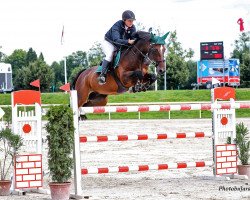 jumper Mc'Cluskey (Irish Sport Horse, 2004, from Unbekannt IR)