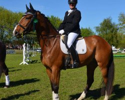 broodmare Akeby's Besondere (Holsteiner, 2009, from Loran)