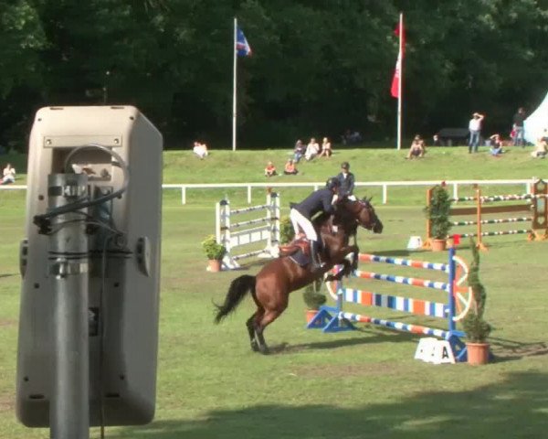 Schenefelder Sommerturnier 2015 - Horse & Classic