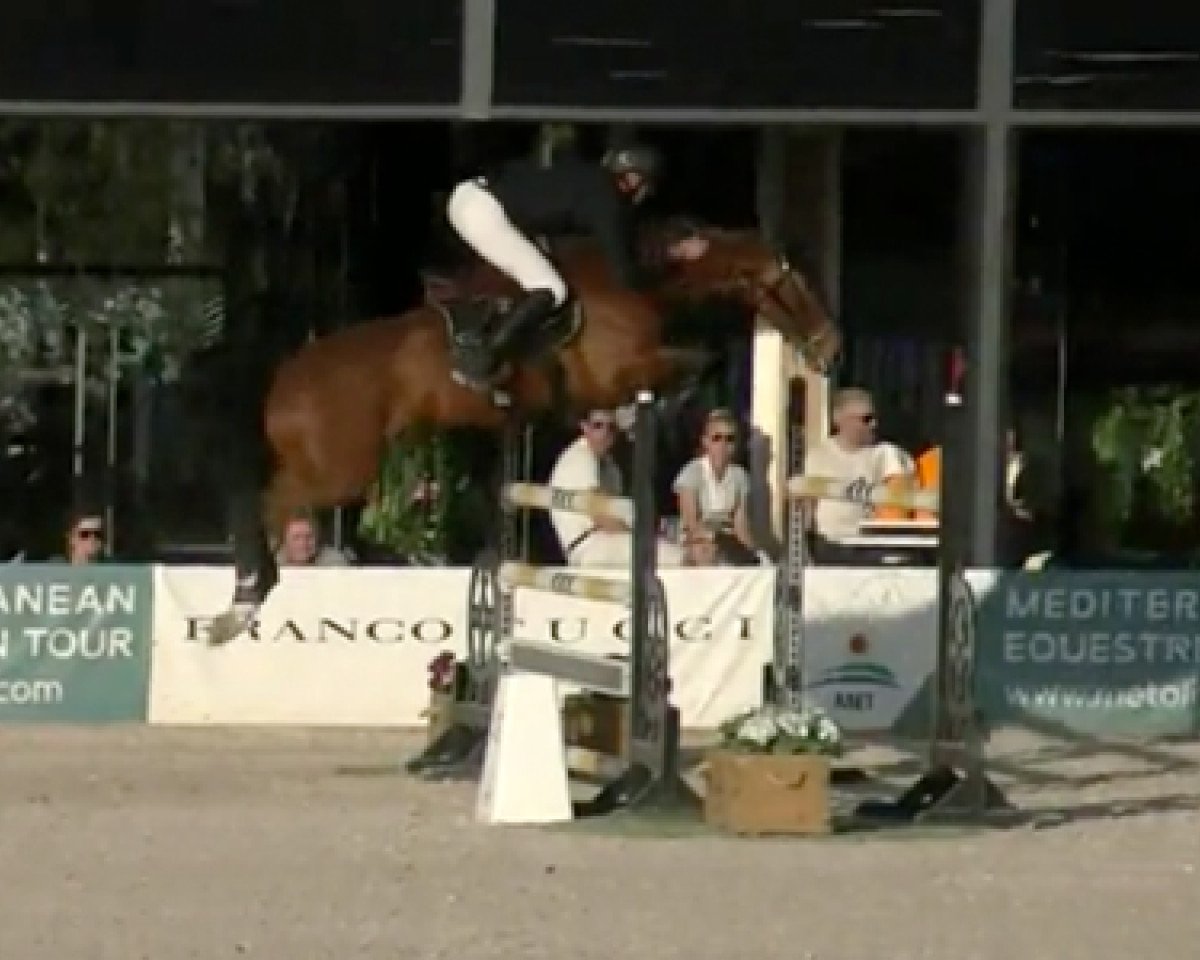 Springpferd Denerys du Montceau (Selle Français, 2013, von L'Arc de Triomphe)