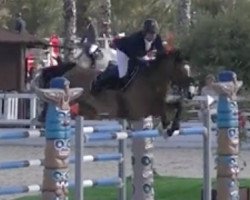 jumper Quincy Lady (Hanoverian, 2010, from Quintender 2)