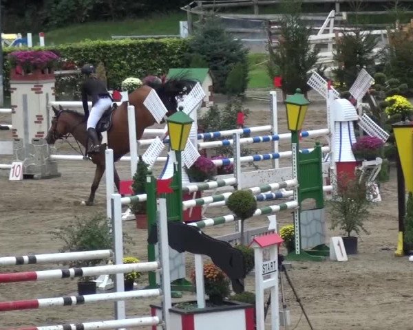 Reitturnier Aachen - Gut Weyern 2015