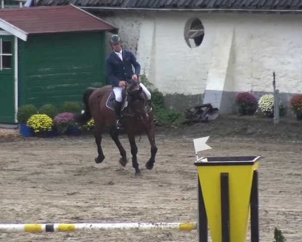 Reitturnier Aachen - Gut Weyern 2015