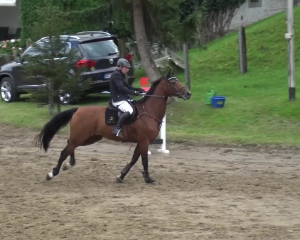 Reitturnier Aachen - Gut Weyern 2015