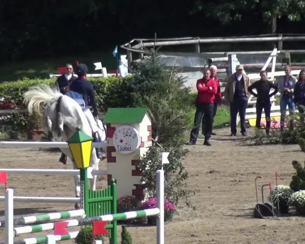 Reitturnier Aachen - Gut Weyern 2015