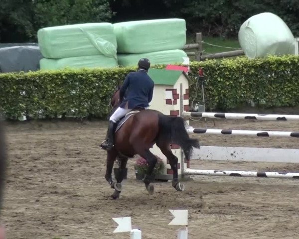 Reitturnier Aachen - Gut Weyern 2015