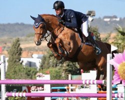 jumper Scenorrado van de Hunters Z (Zangersheide riding horse, 2013, from Hunters Scendro)