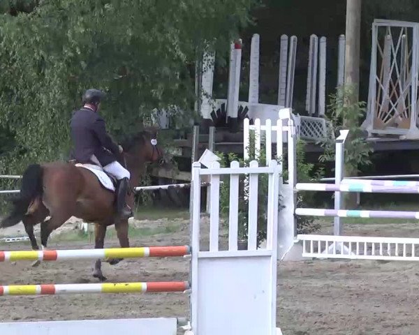 Reitturnier Heidelsheim 2015