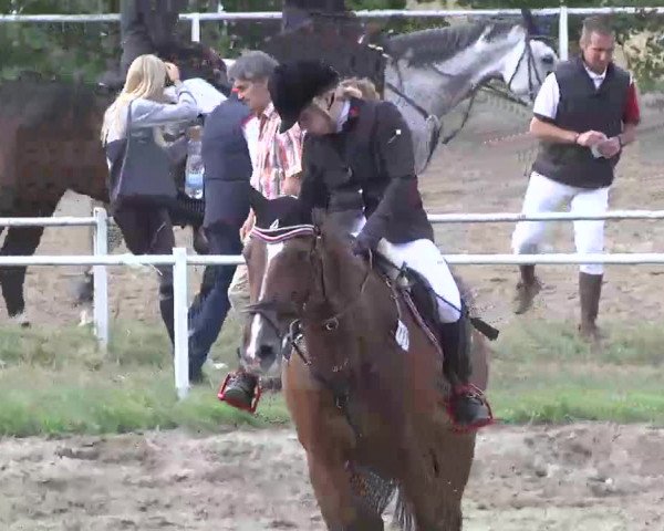 Reitturnier Heidelsheim 2015