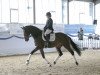 dressage horse Fynch Hatton (Westphalian, 2016, from Franziskus FRH)