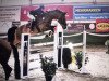 jumper Avanto Von Pachern (Austrian Warmblood, 2009, from Acteur As)