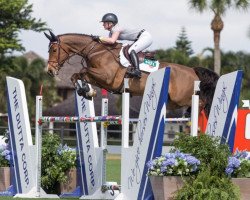 jumper Goblet (KWPN (Royal Dutch Sporthorse), 2011, from Zacharov Tn)