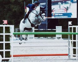 jumper Lorelei van het Waterschoot Z (Zangersheide riding horse, 2009, from Lord Z)