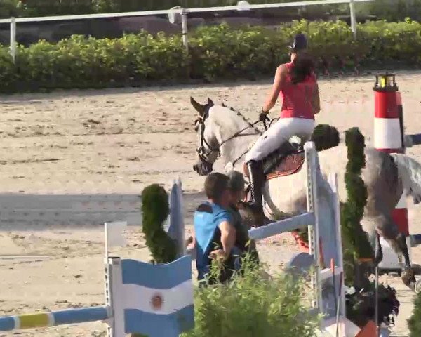 Reitturnier Waldachtal-Heiligenbronn 2015