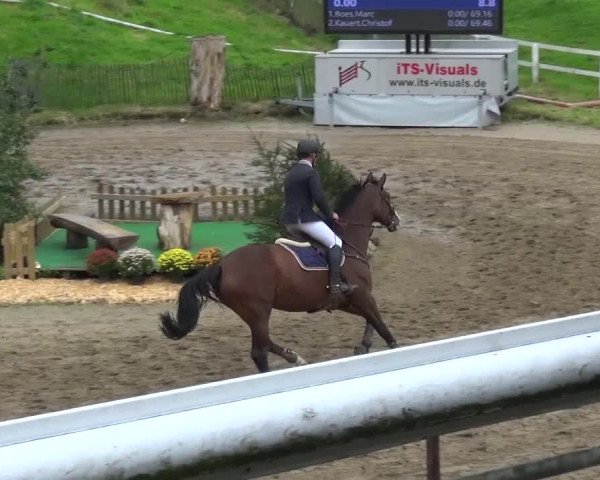 Reitturnier Aachen - Gut Weyern 2015
