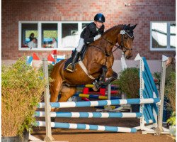 jumper Legolas 184 (Oldenburg, 2009, from Landfuerst)