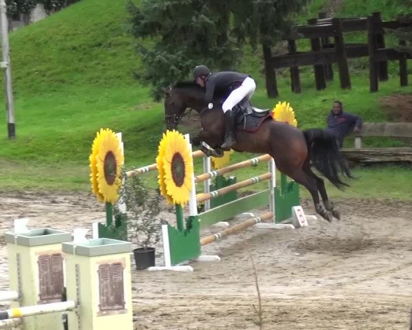 Reitturnier Aachen - Gut Weyern 2015