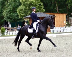 dressage horse Esprit Dond D (KWPN (Royal Dutch Sporthorse), 2009, from Glock's Johnson Tn)