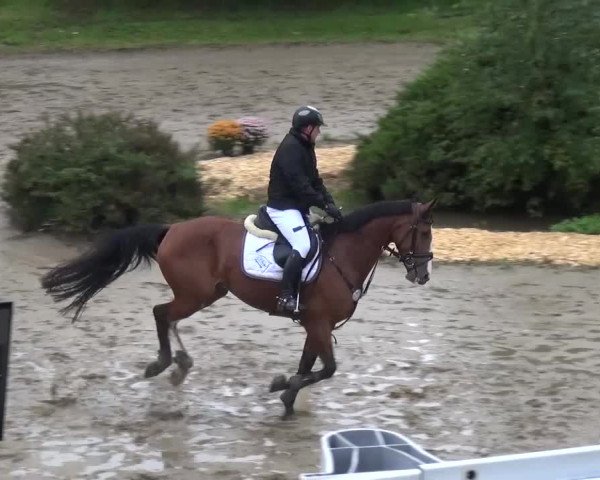 Reitturnier Aachen - Gut Weyern 2015
