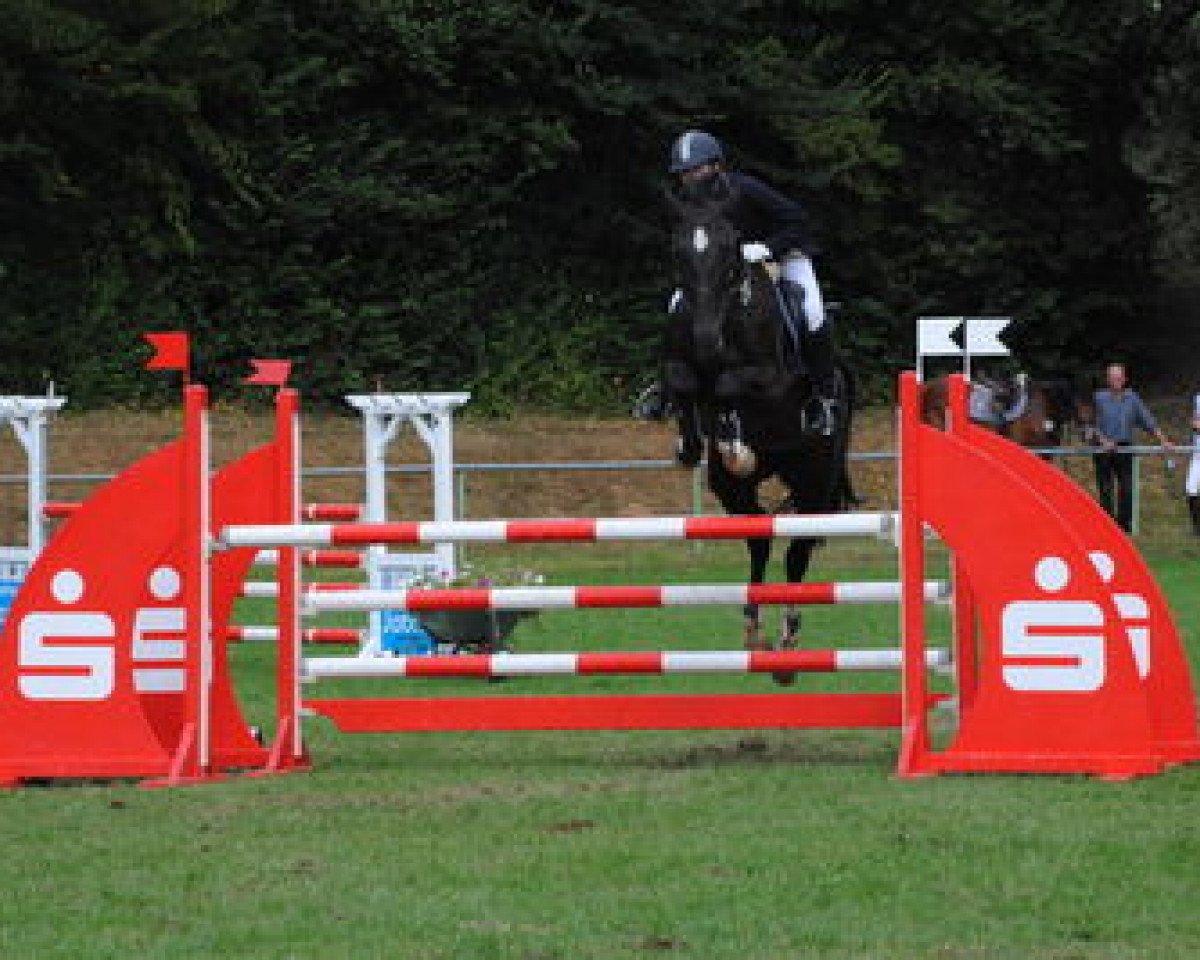 jumper Qui Chanti (Westphalian, 2006, from Qusander)