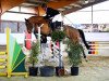 Springpferd Olympic Hh (Belgisches Warmblut, 2014, von Vigo d'Arsouilles)