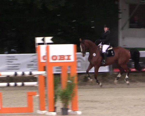 Springturnier Meinerzhagen 2015