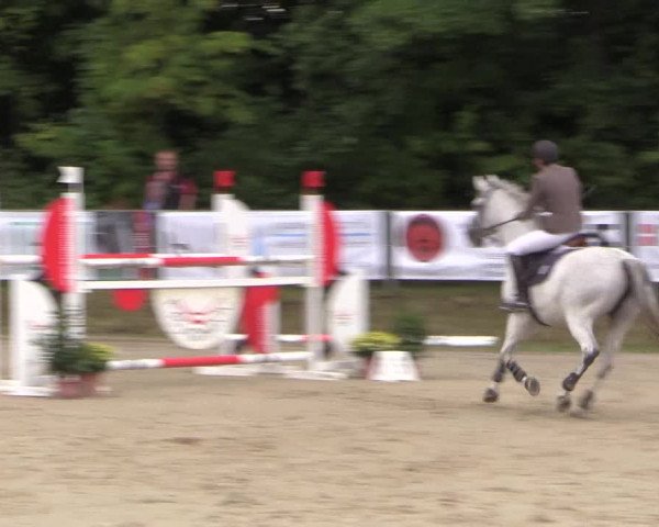 Springturnier Meinerzhagen 2015