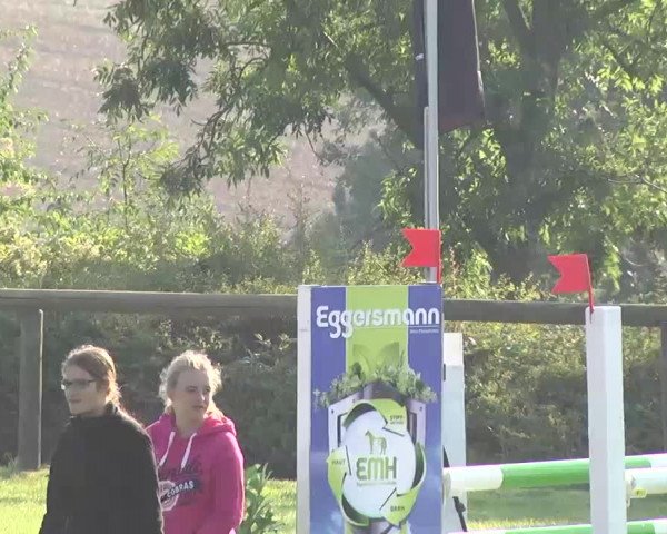 Reitturnier Leonberg 2015