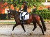 dressage horse Patrim Keloise (KWPN (Royal Dutch Sporthorse), 1997, from Gribaldi)