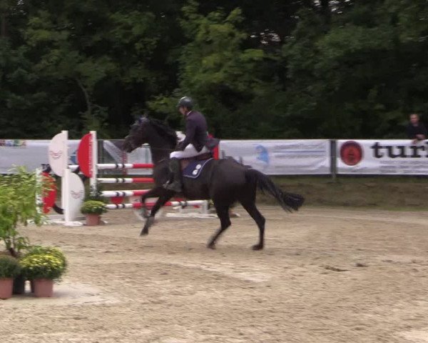 Springturnier Meinerzhagen 2015