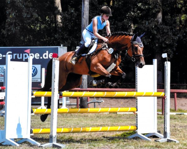 jumper Geraldina 2 (KWPN (Royal Dutch Sporthorse), 2011, from Biscayo)