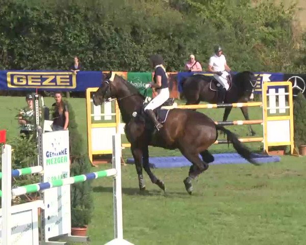 Reitturnier Leonberg 2015