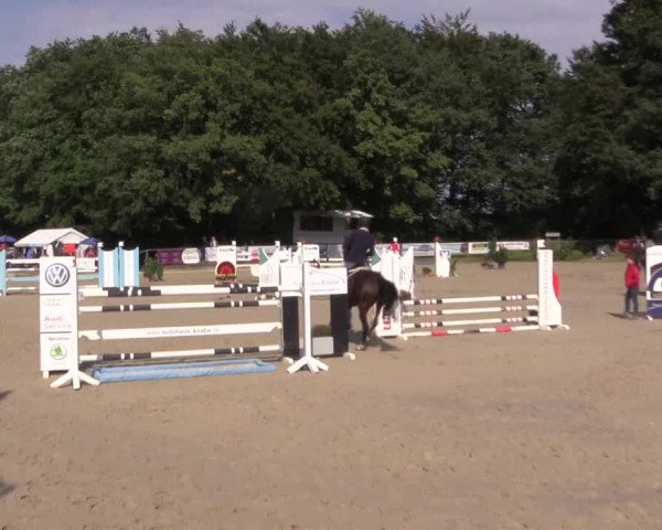Springturnier Meinerzhagen 2015