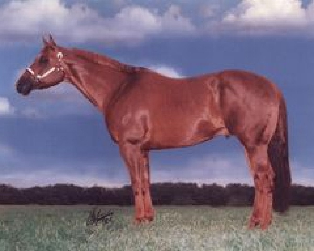 Deckhengst CL Special Skip (Quarter Horse, 1988, von Special Trick)