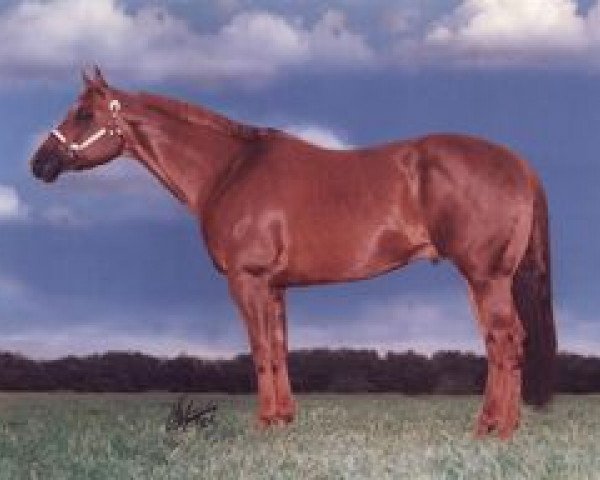 Deckhengst CL Special Skip (Quarter Horse, 1988, von Special Trick)