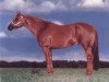 Deckhengst CL Special Skip (Quarter Horse, 1988, von Special Trick)