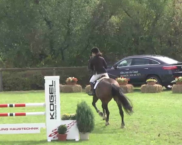 Reitturnier Leonberg 2015