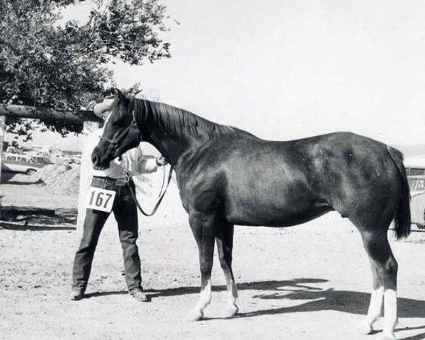 broodmare Skipperette (Quarter Horse, 1950, from Skipper W)