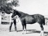 broodmare Skipperette (Quarter Horse, 1950, from Skipper W)